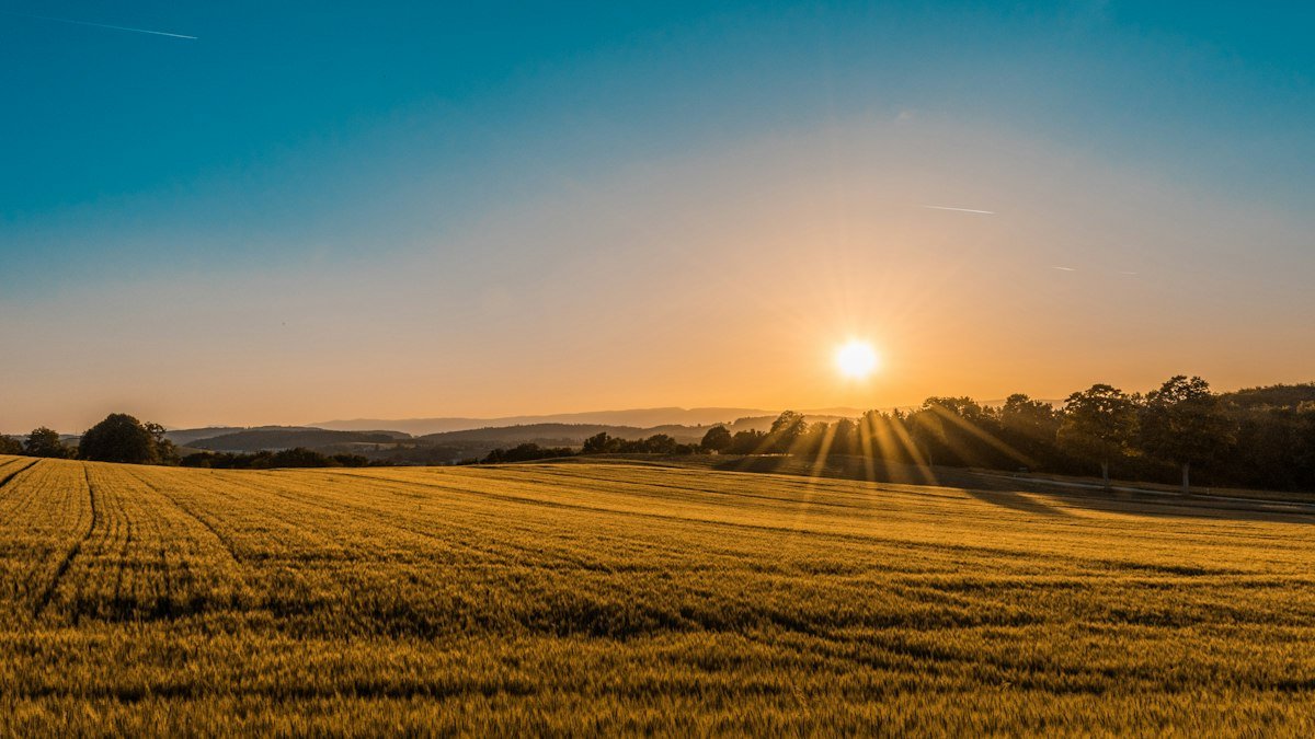 Agricultural & Agrobased